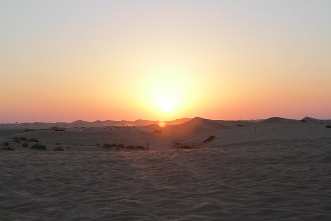 Abu Dhabi Desert Safari with BBQ Dinner & Shows - Pickup, Mobile Ticket, and the 3:00 pm Timing That Drives the Mood