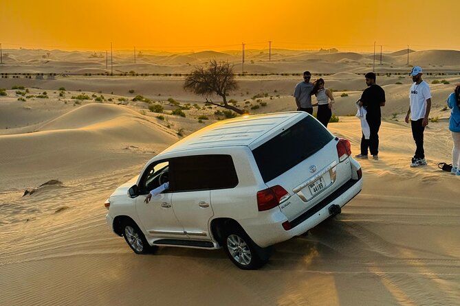 Abu Dhabi Desert Safari with Live Entertainment and Live BBQ - The show lineup: belly dancing, fire shows, and Tanura