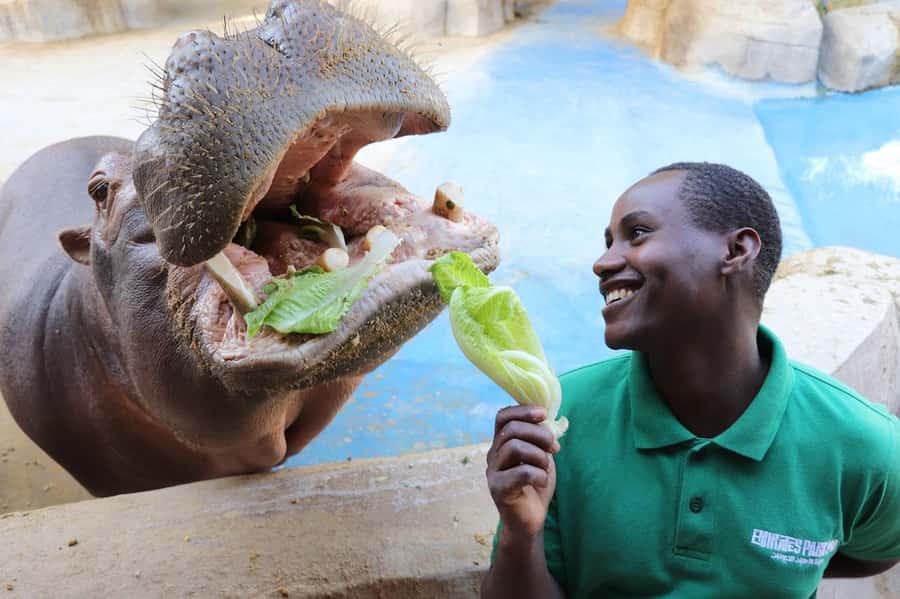 Abu Dhabi: Emirates Park Zoo Entry Ticket - Key Things That Make Emirates Park Zoo Worth Your Time