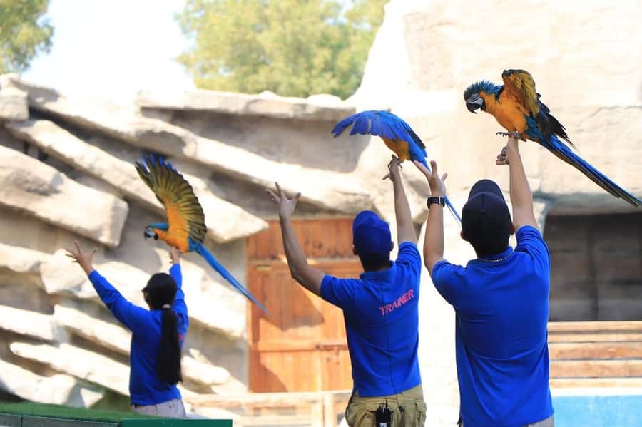 Abu Dhabi: Emirates Park Zoo Entry Ticket - Planning Your 1-Day Emirates Park Zoo Visit