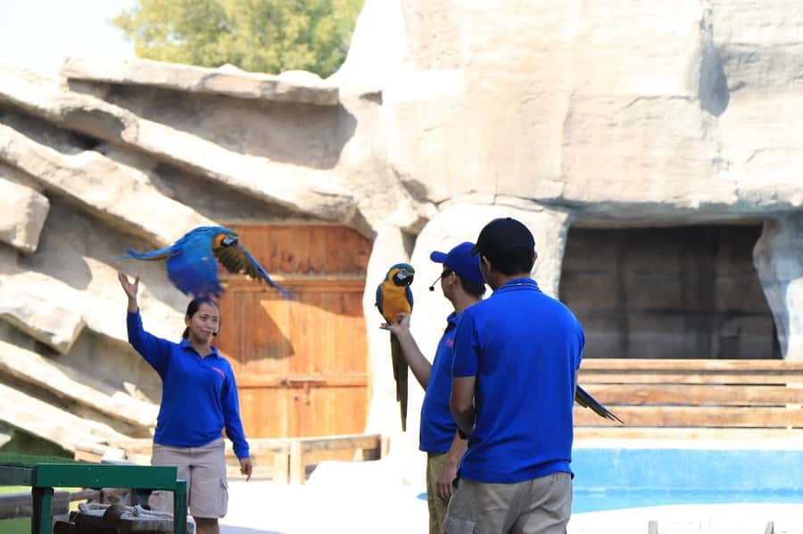 Abu Dhabi: Emirates Park Zoo Entry Ticket - Bird Park: Kookaburras, African Grey Parrots, and Macaws