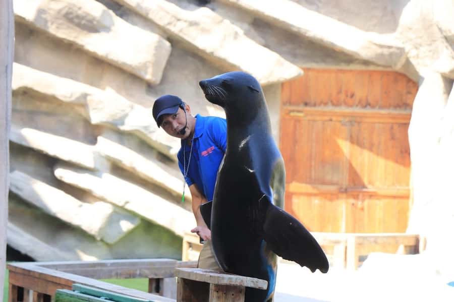 Abu Dhabi: Emirates Park Zoo Entry Ticket - Petting Zoo: A Simple, Family-Friendly Stop