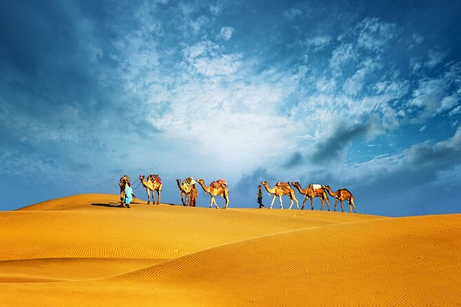 Abu Dhabi Evening Desert Safari Adventure - Key highlights