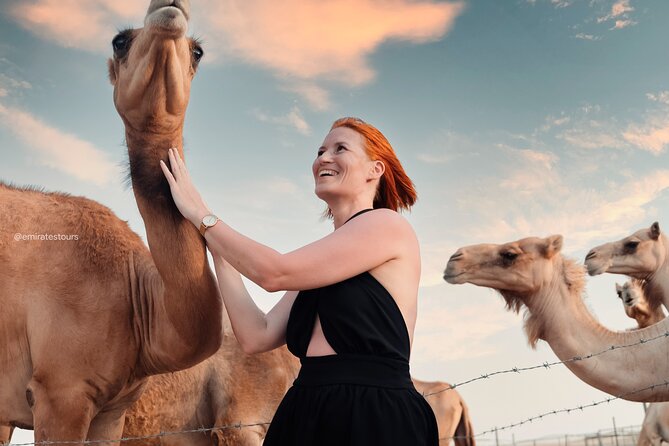 Abu Dhabi Evening Desert Safari BBQ, Camel Ride, Entertainments - Tips to Make the Desert Day Feel Effortless