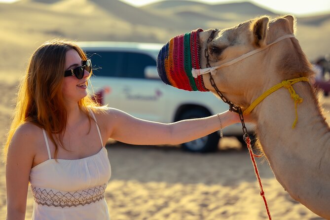Abu Dhabi Evening Desert Safari - Dune bashing Camel ride and BBQ - Into the dunes: what dune bashing feels like, and when it hits