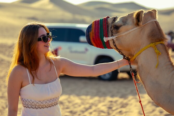 Abu Dhabi Evening Desert Safari - Private car Dune bashing & BBQ - The desert camp night: BBQ, performances, and small extras