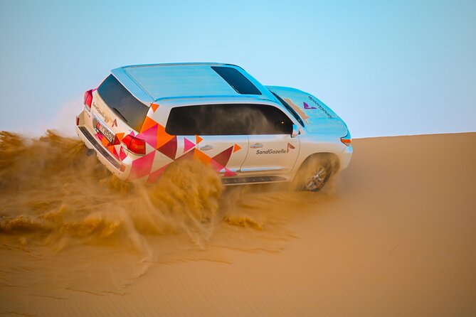 Abu Dhabi Evening Desert Safari - Private car Dune bashing & BBQ - Who should book this safari (and who should think twice)