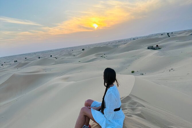 Abu Dhabi: Evening Desert Safari with Camel Ride, BBQ & Live Show - Price and value: is $72 a person a good deal?