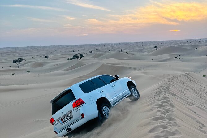 Abu Dhabi: Evening Desert Safari with Camel Ride, BBQ & Live Show - Dune bashing in Land Cruisers: the adrenaline part people remember