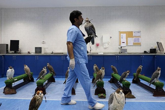 Abu Dhabi Falcon Hospital Tour - Price, Transfer Options, and Value for Your Time