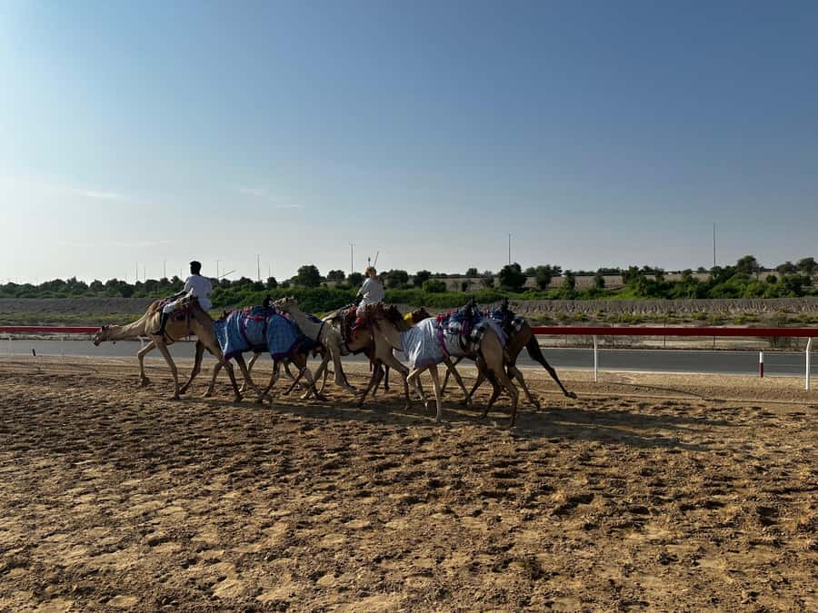 Abu Dhabi: Fossil Dune, Salt Lake and Camel Race Track Tour - Pickup, desert prep, and what to bring for Abu Dhabi sun