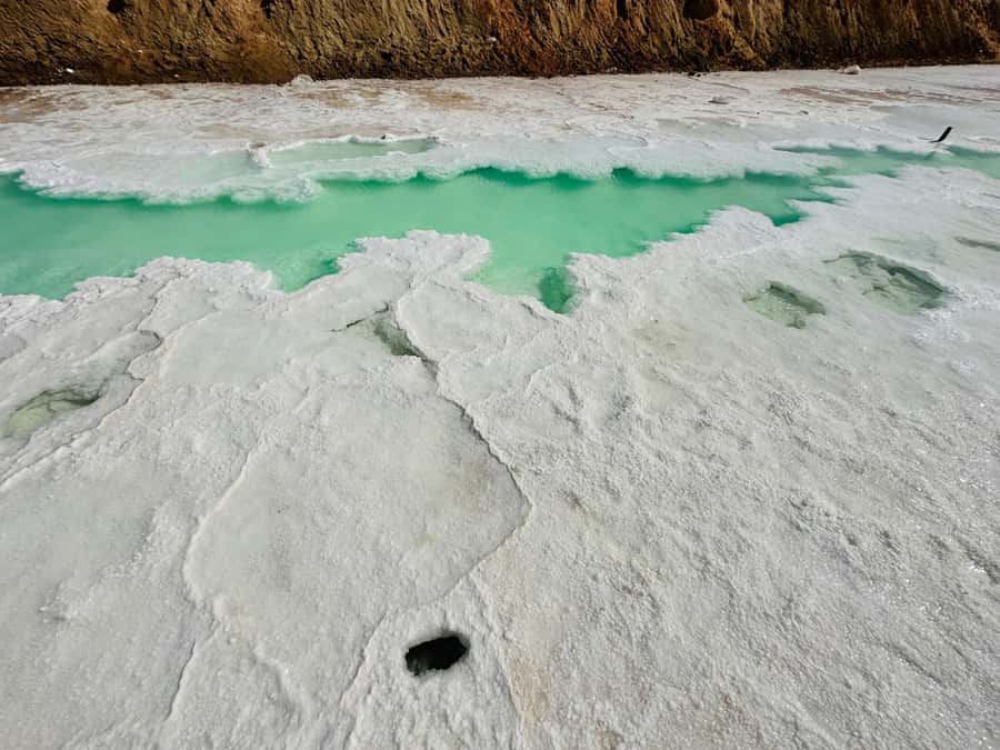 Abu Dhabi: Fossil Dune, Salt Lake and Camel Race Track Tour - Salt Lake stop: white deposits, green water, and why expectations should stay flexible