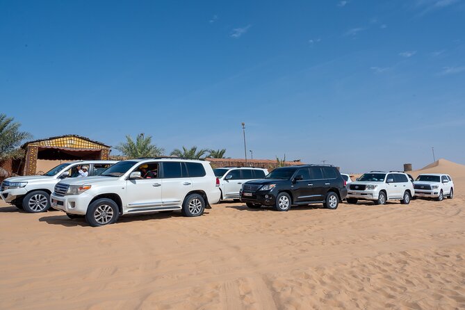 Abu Dhabi Full-Day Desert Safari - Henna Painting, Traditional Dress, and Getting Your Photos Without Stress