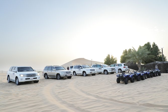 Abu Dhabi Half Day Desert Safari - Falcon Photo, Shisha, Henna, and the Costume Moment