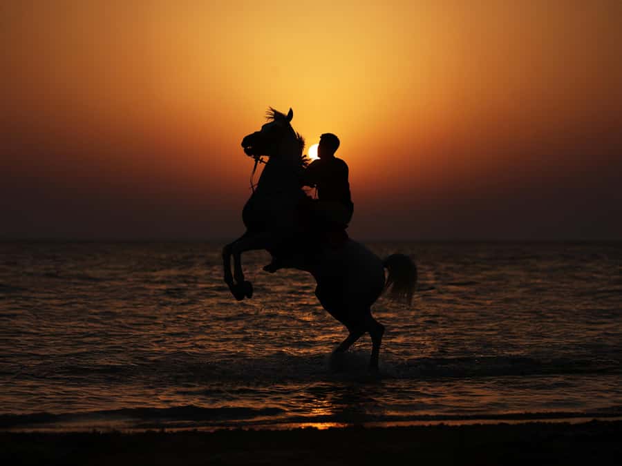 Abu Dhabi: Hudairiyat Island Horse Riding Experiences - Hudairiyat Island horse riding, and what your $72 buys