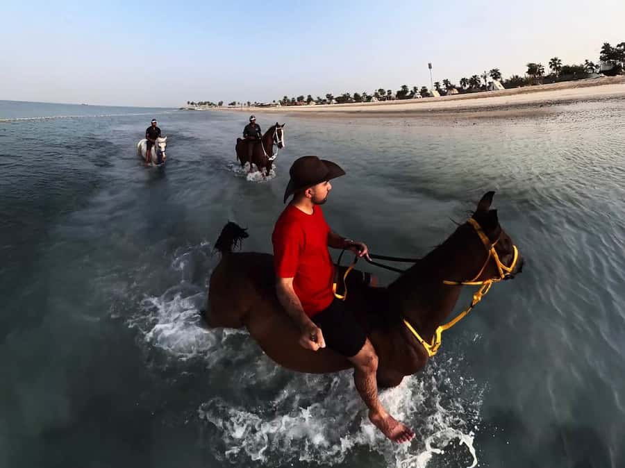 Abu Dhabi: Hudairiyat Island Horse Riding Experiences - The safety conversation you should have before you ride