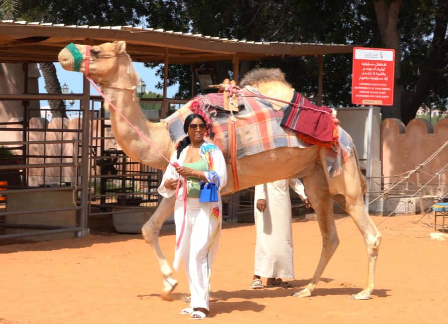 Abu Dhabi: Inside Heritage Village Walking Tour - Getting there and what to wear for the Heritage Village