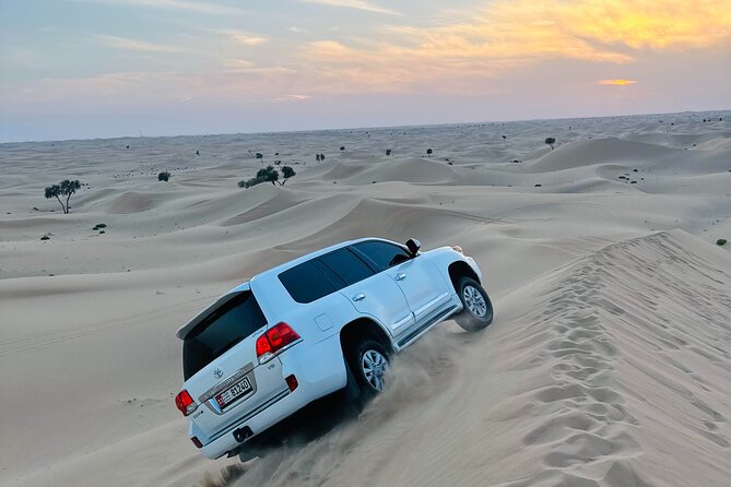 Abu Dhabi Layover & Stopover : Discover the City Between Flights - Price and Logistics: What $70 Really Covers