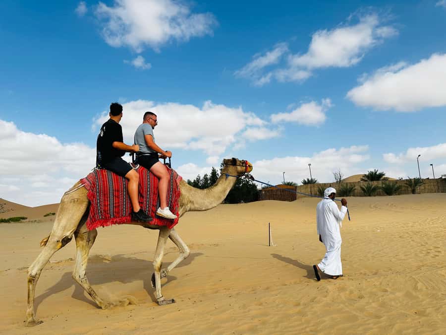 Abu Dhabi: Magical 4x4 Desert Tour with BBQ & Sandboarding - Camel Farm, Short Camel Ride, and Falcon Photos: The “Wow, That’s Different” Stops
