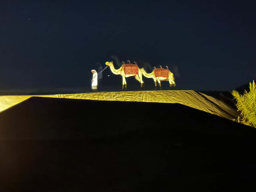 Abu Dhabi: Magical 4x4 Desert Tour with BBQ & Sandboarding - 4 Hours vs 6 Hours: Which Timing Works Better for Your Day