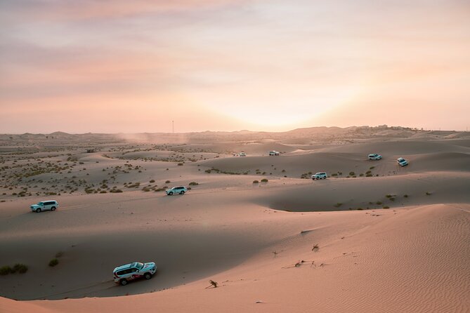 Abu Dhabi Morning Desert Safari: 4x4 Dune Bashing, Camel Ride and Sandboarding - Key highlights to know before you go