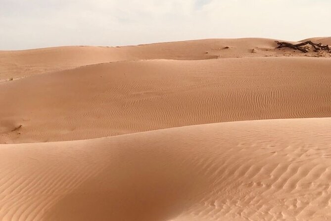 Abu Dhabi Morning Desert Safari,Dune Bashing,Sandboarding,Camel Riding&Quad Bike - Dune bashing in 4x4: the adrenaline moment with drivers like Basith and Nazar