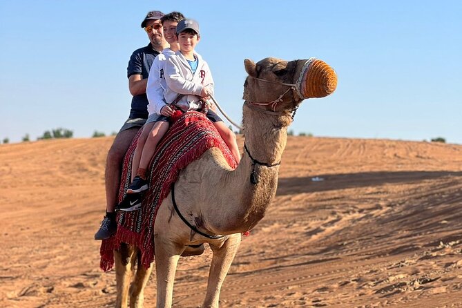 Abu Dhabi morning desert safari - Private car - Why a morning desert safari in Abu Dhabi makes sense