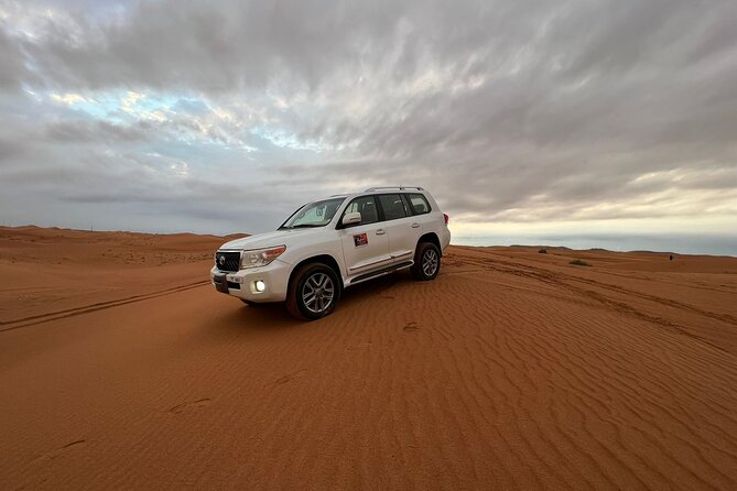 Abu Dhabi morning desert safari - Private car - Small camp moments, young camels, and refreshments