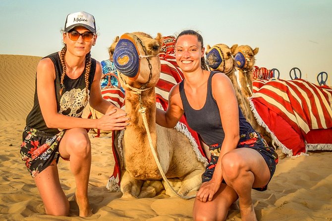 Abu Dhabi: Morning Desert Safari with Camels and Sandboarding - Value for $49.50, and what that price usually covers
