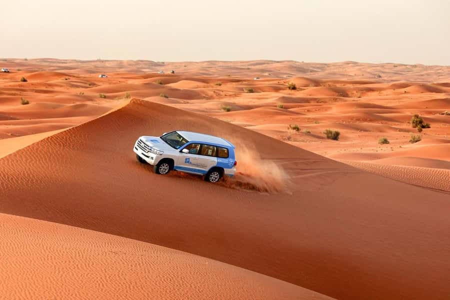 Abu Dhabi: Morning Desert Tour, Camel Ride & Sandboarding - Sandboarding on Real Dunes: What You’ll Actually Do