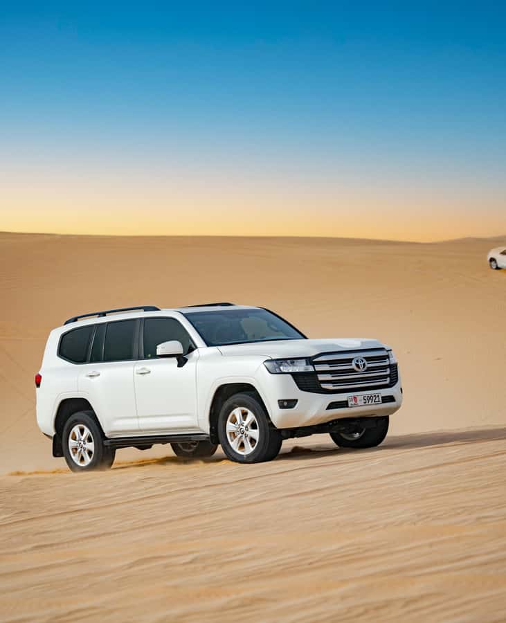 Abu Dhabi: Morning Dune Drive, Camel Ride & Sandboarding - Why the Morning Desert Drive Feels Better Than Later in the Day