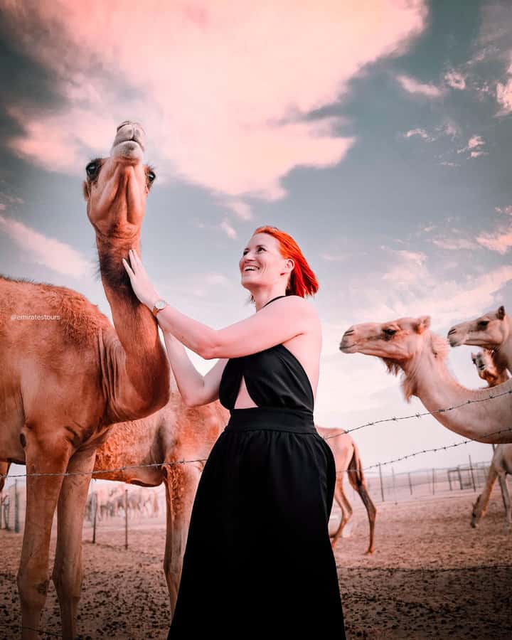 Abu Dhabi: Morning Dune Drive, Camel Ride & Sandboarding - Bedouin-Style Camp Break: The Calm Between Thrills