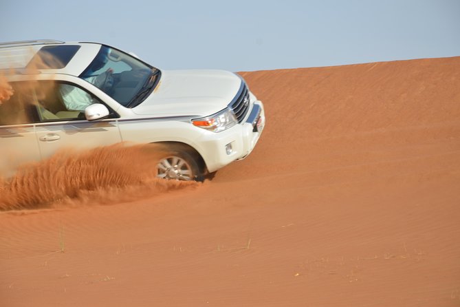Abu Dhabi Morning Safari - Price and value: what $55 really buys you