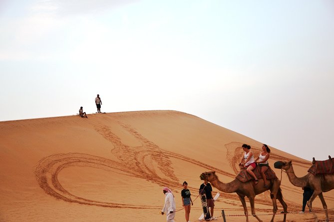 Abu Dhabi Morning Safari - Pickup, vehicle comfort, and how a max 15 group plays out