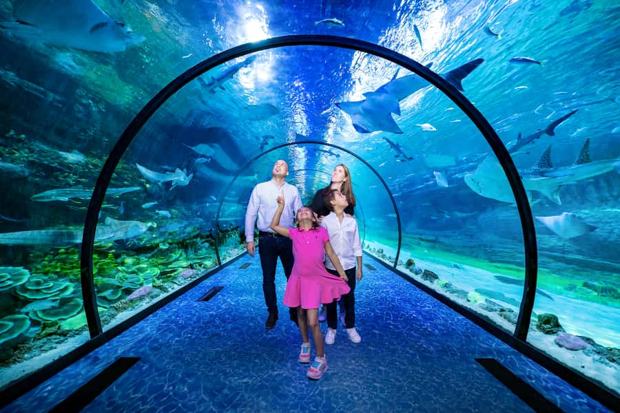 Abu Dhabi: National Aquarium Entrance Ticket - National Aquarium Abu Dhabi basics: what the 1-day ticket covers