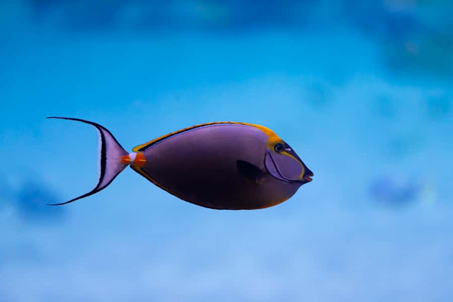 Abu Dhabi: National Aquarium Entrance Ticket - Family day planning: where to eat, where to rest, and what kids will love