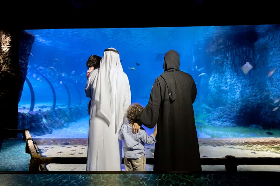 Abu Dhabi: National Aquarium Entrance Ticket - A smart route through 10 zones from Pacific to Arctic