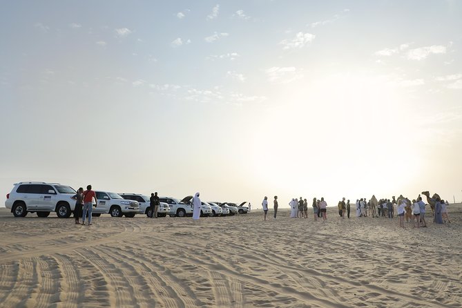 Abu Dhabi: Overnight Desert Safari - Camel farm stop, sand moments, and the dune-bashing intensity