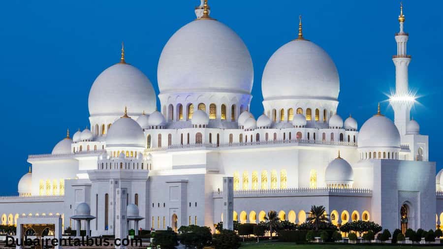 Abu Dhabi: Private Car and Driver for 8 Hours City Tour - Port Zayed markets for a trade focused Abu Dhabi angle