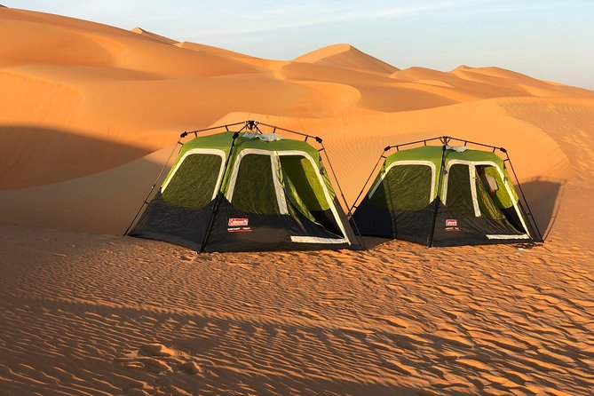 Abu Dhabi Private Desert Camping With BBQ Dinner - The day safari setup, then the switch to a quiet desert night