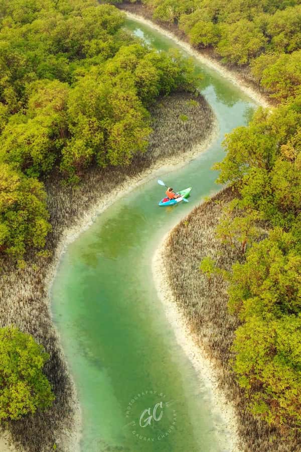Abu Dhabi: Reem Central Park 2-hour Guided Kayak Tour - Why Kayak Reem Central Park in Abu Dhabi