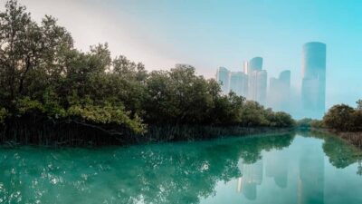 Reem Central Park 2-hour Guided Kayak Tour