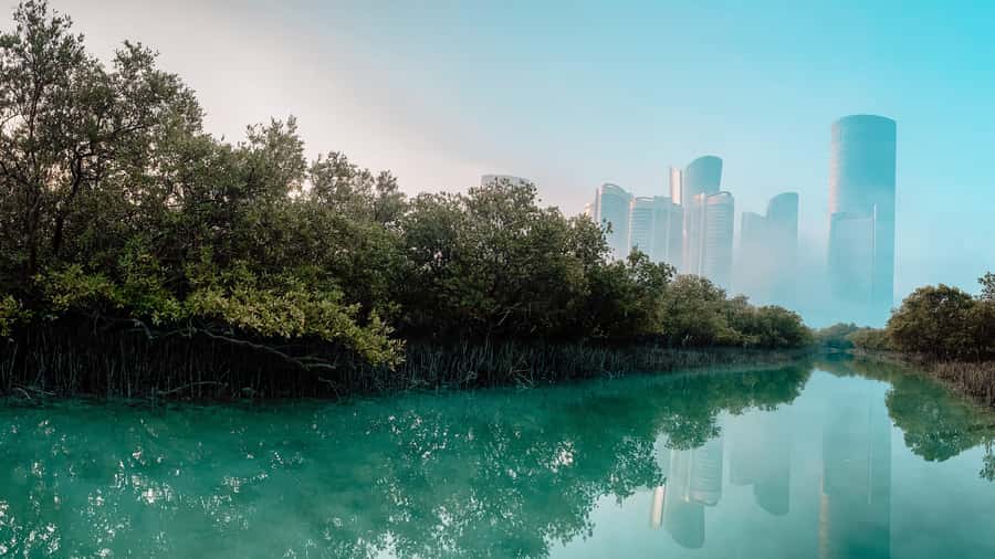 Abu Dhabi: Reem Central Park 2-hour Guided Kayak Tour - Meeting at the wooden kayak cabin, then gear up quickly