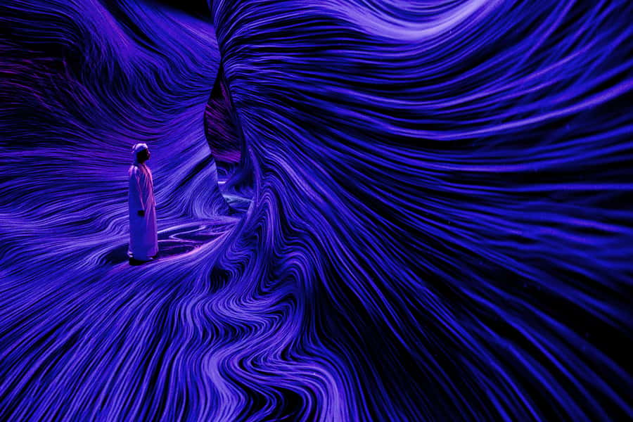 Abu Dhabi: teamLab Phenomena Entry Ticket - Key takeaways before you go