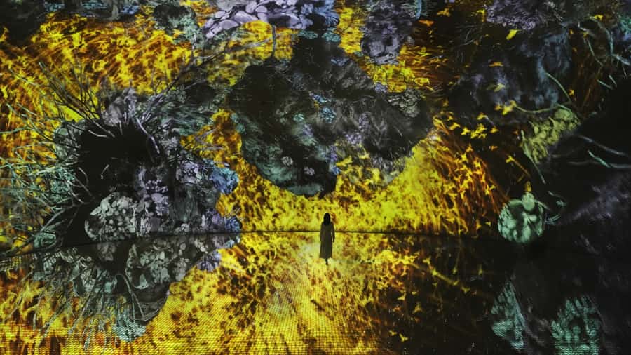 Abu Dhabi: teamLab Phenomena Entry Ticket - How long to plan: 1 to 3.5 hours