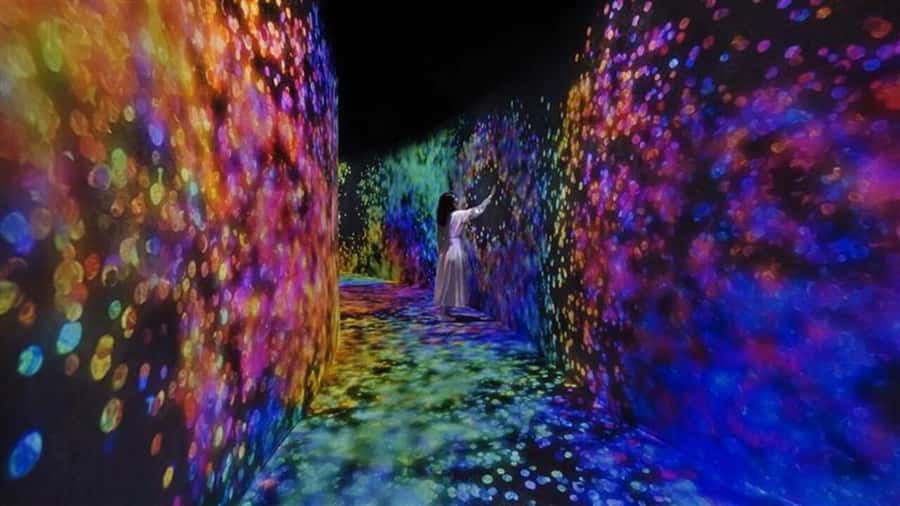 Abu Dhabi: teamLab Phenomena Entry Ticket - Timed entry and the adult-only window that matters