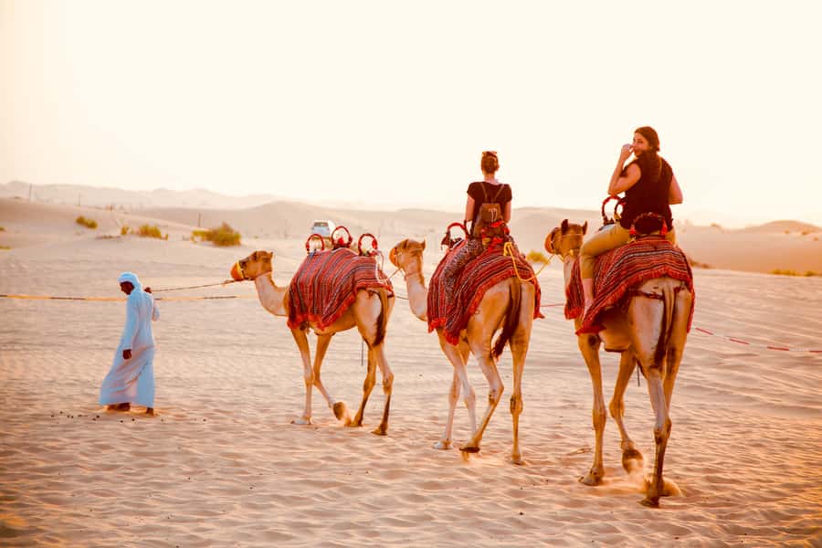 Abu Dhabi Traditional Desert Camp Experience And Quad Bike - Key things to know before you go