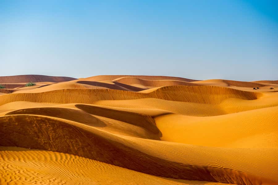 Abu Dhabi Traditional Desert Camp Experience And Quad Bike - Why This 6-Hour Quad and Desert Camp Plan Fits Abu Dhabi