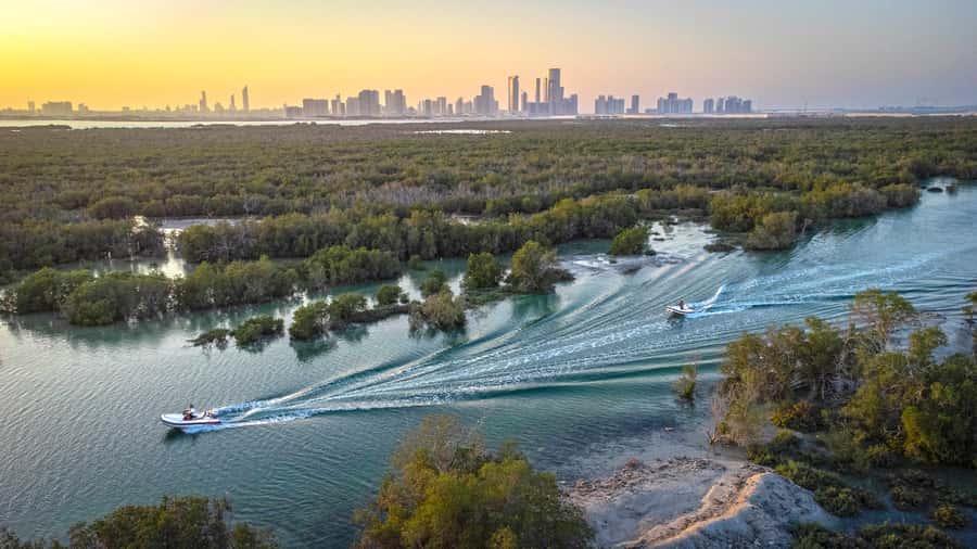 Abu Dhabi: Yas Island Self-Driving Guided Speedboat Tour - Mangrove Alley and flamingo spotting: 3 kilometers worth slowing down