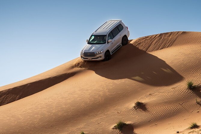 Adrenaline combo : Desert activities + ATV or Quad bike option - Camel Ride For Classic Desert Views (Bedouin-Style)